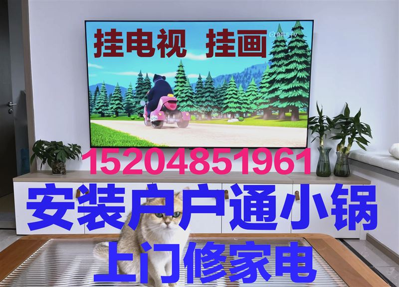 上門修家電，掛電視，掛畫，安小鍋，安熱水器15204851961
